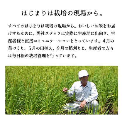 セール 米 大地のコシヒカリ 10kg 白米 お米 10キロ お買い得 国産コシヒカリ10割 令和7年産米入り 送料無料 (沖縄のぞく)