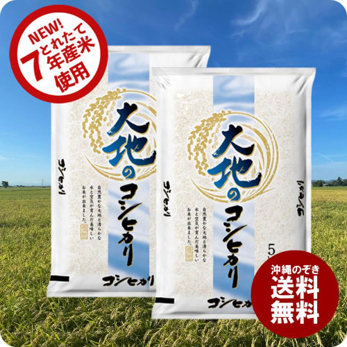 セール 米 大地のコシヒカリ 10kg 白米 お米 10キロ お買い得 国産コシヒカリ10割 令和7年産米入り 送料無料 (沖縄のぞく)