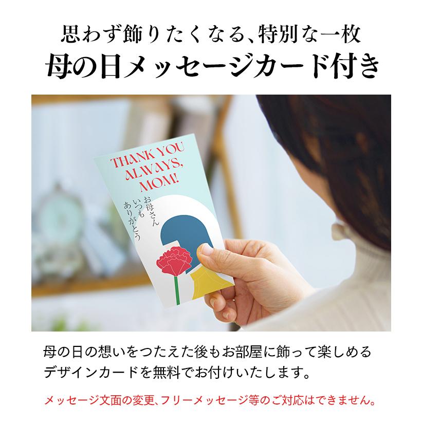 母の日 スイーツ ギフト プレゼント 70代 ( 80代 お菓子 和菓子 食べ物 60代 セット 花以外 カステラ 高級 2026 ) どら焼き 最中 05号 まごころ MDXZ