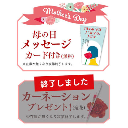 母の日 スイーツ ギフト プレゼント 70代 ( 80代 お菓子 和菓子 食べ物 60代 セット 花以外 カステラ 高級 2026 ) どら焼き 最中 05号 まごころ MDXZ