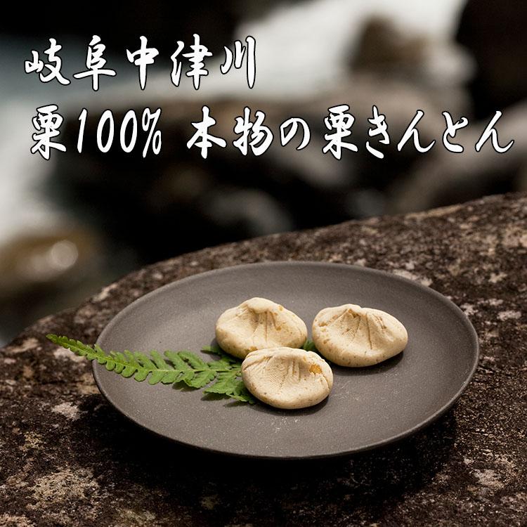 母の日 花 ギフト 2026 プレゼント 和菓子 スイーツ お菓子 カーネーション 食べ物 高級 セット 詰め合わせ 岐阜中津川 栗柿 2個 栗きんとん 2個 大福各1個
